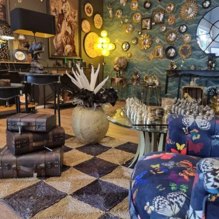 Cabinet de curiosité