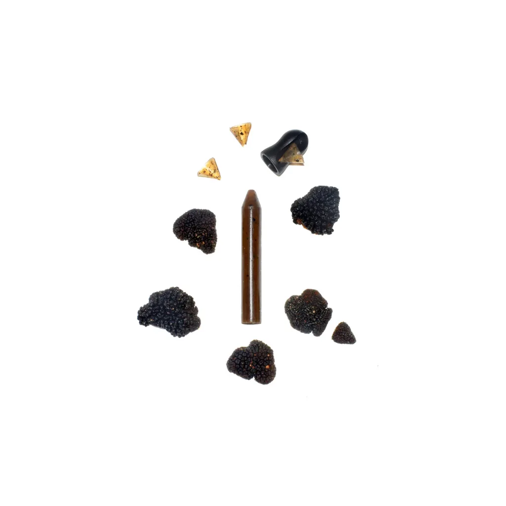 Crayon à tailler OCNI à la truffe noire 78g avec taille-crayon – condiment original, design et gastronomique