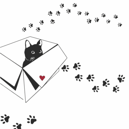 Serviettes Atelier Chat avec traces de pattes noires et chat dans un carton