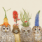 Serviettes Big Hat Night avec 4 hiboux coiffés de fleurs sur fond clair