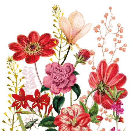 Serviette Floria avec fleurs rouges, roses et nude sur fond blanc