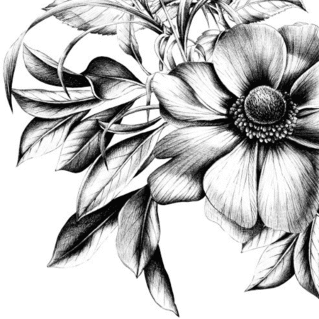 Zoom sur motif floral noir et blanc des serviettes Natasha – design élégant