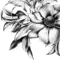 Zoom sur motif floral noir et blanc des serviettes Natasha – design élégant