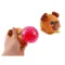 Balle squishy en forme de chien avec boule rose extensible visible Ă la pression